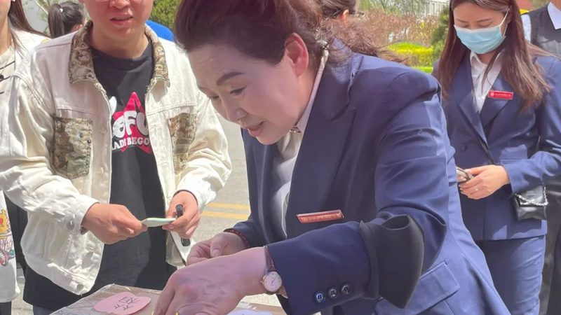 VI设计素材分类：用途细分解析